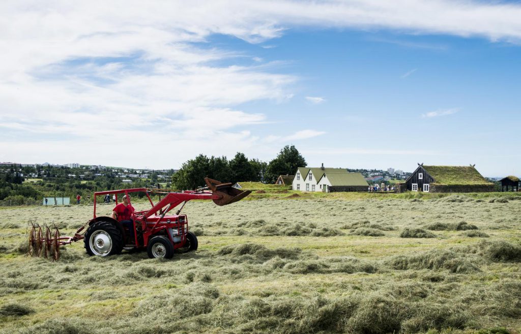 Hvenær hafa bændur mök?