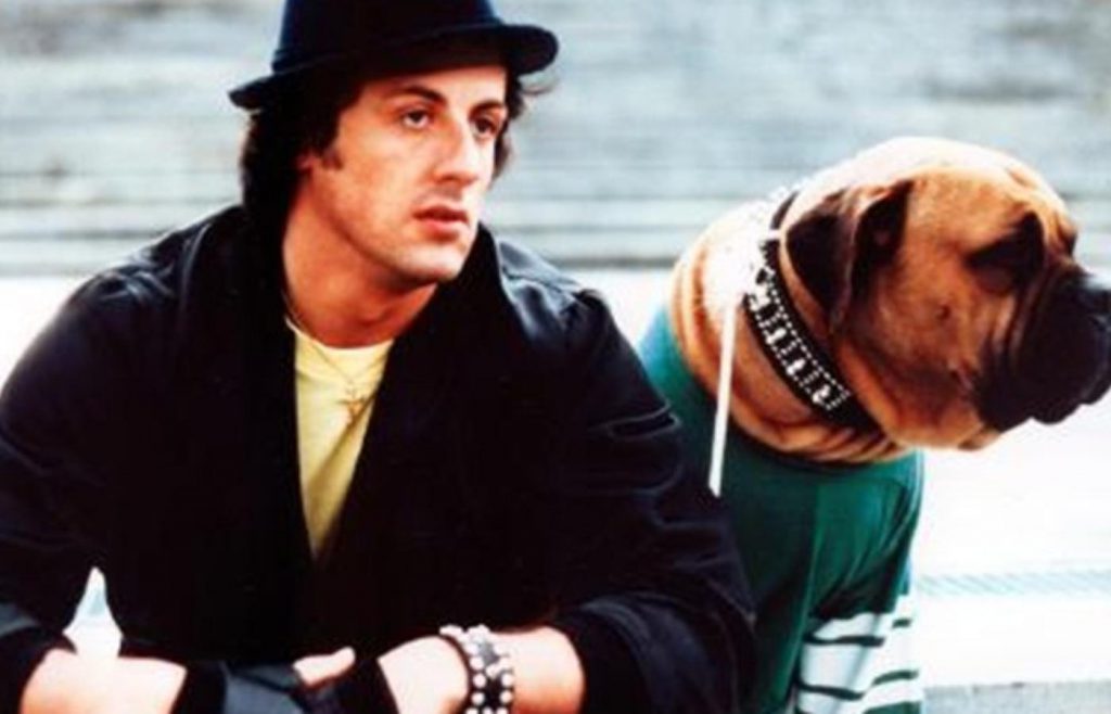 Stallone þakkar hundi sínum