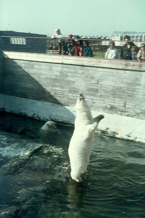 Hið ömurlega sædýrasafn