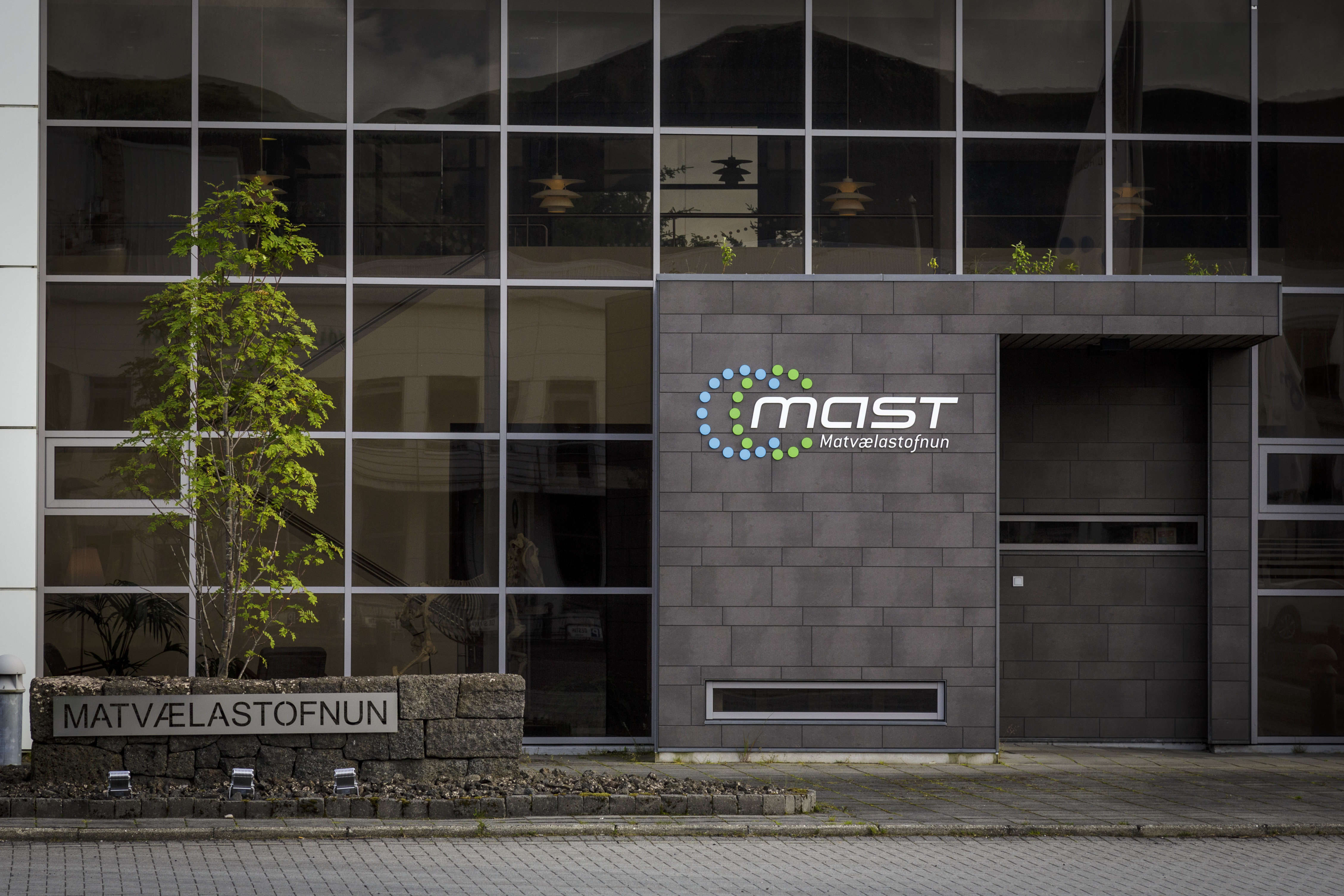 Slapp við að greiða dagsektir vegna mistaka MAST