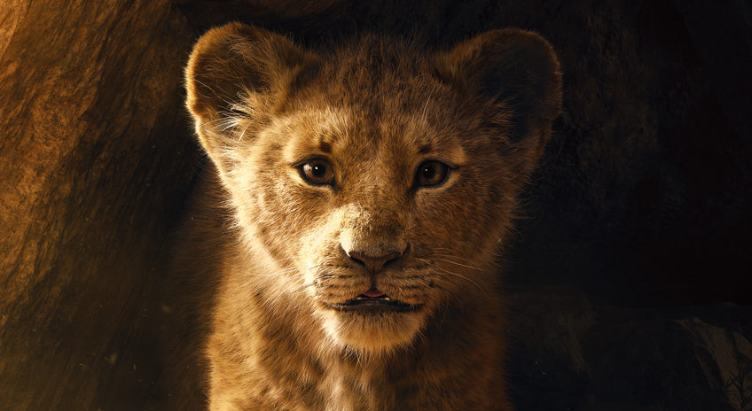 Málaferli framundan vegna eins frægasta teiknimyndalags sögunnar