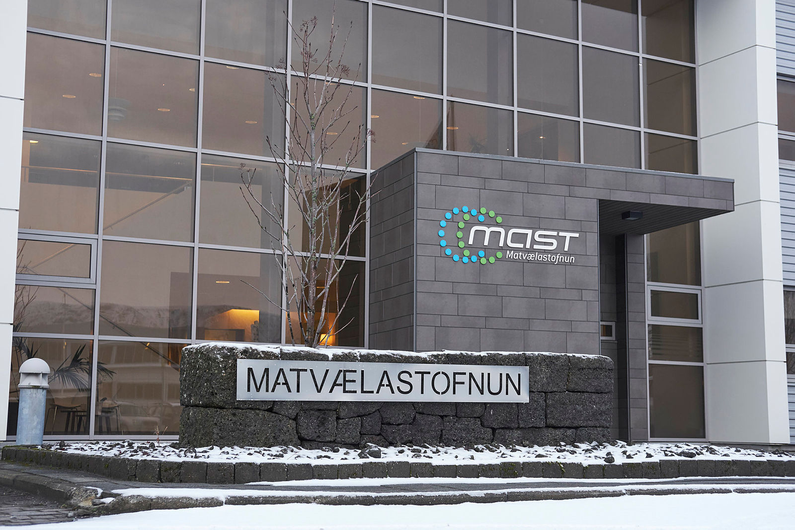 Óskemmtileg sjón mætti fulltrúum MAST: „Nokkrir kattanna reyndust dauðir“