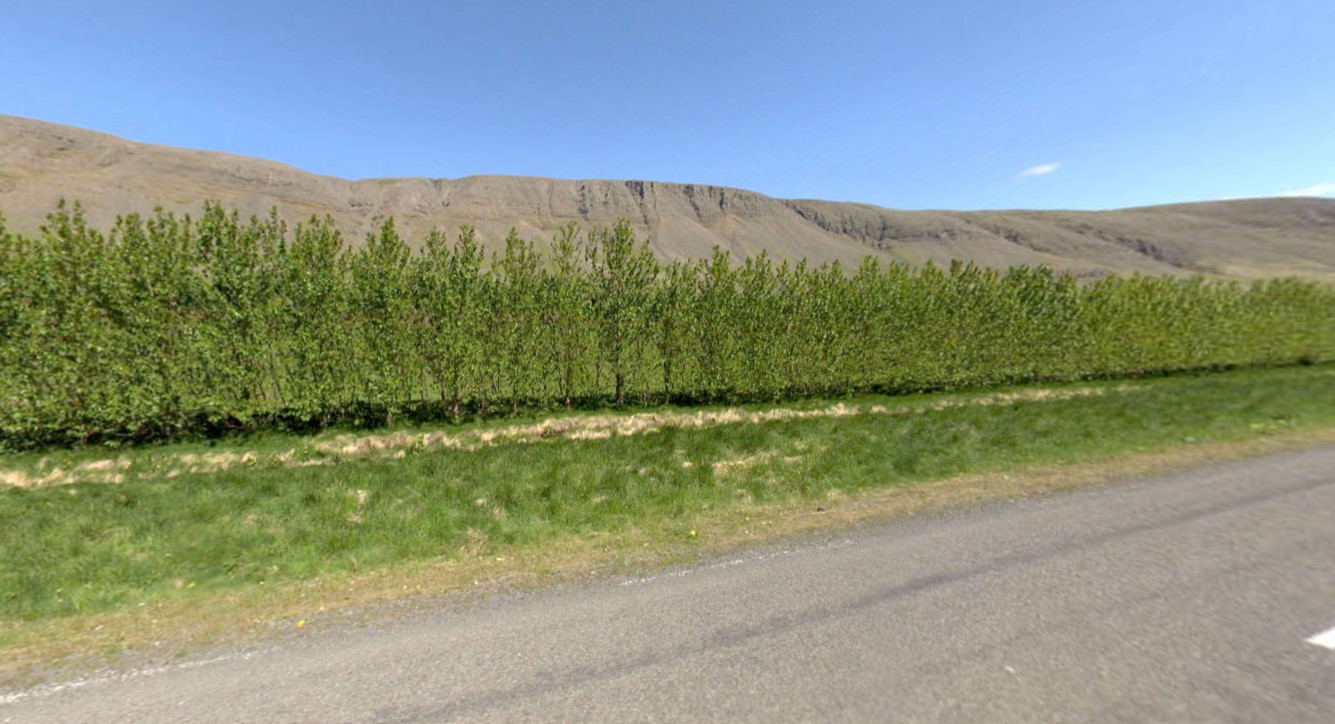 Óhugnaður í Kjós: „Sterkur grunur er um að hér sé um viljaverk að ræða”