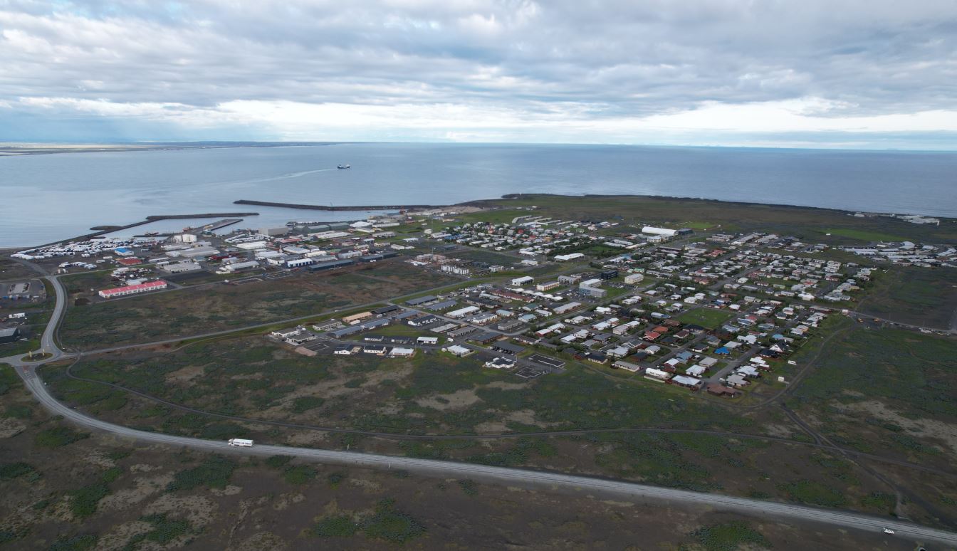 Móðir frétti af hrottalegri árás á son sinn í útvarpinu – „Ég vissi að þetta var hann þegar minnst var á snákinn“