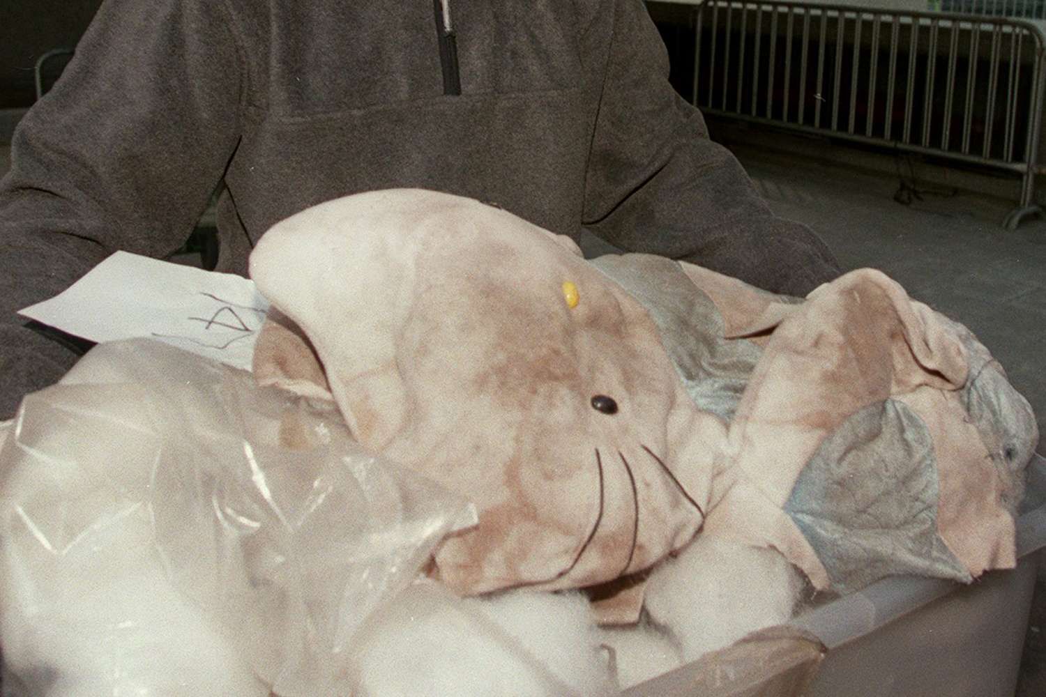 Unglingsstúlka sagðist ofsótt af konudraugi — Síðan fannst hauskúpa konu í Hello Kitty dúkku