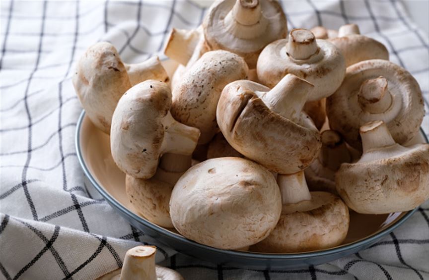 Stóru spurningunni svarað: Á að skola sveppi fyrir eldun?