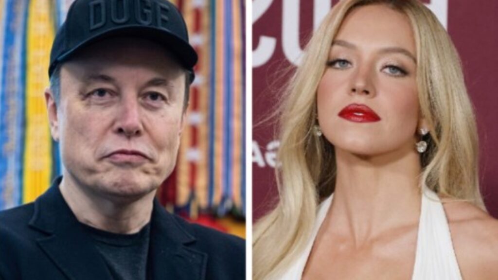 Furðuleg athugasemd Elon Musk um brjóstin á Sydney Sweeney vekja hneykslun