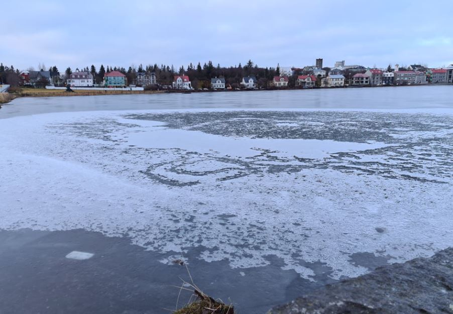Segir klúður í vetrarþjónustu Reykjavíkurborgar hafa valdið fjölda fólks líkamstjóni