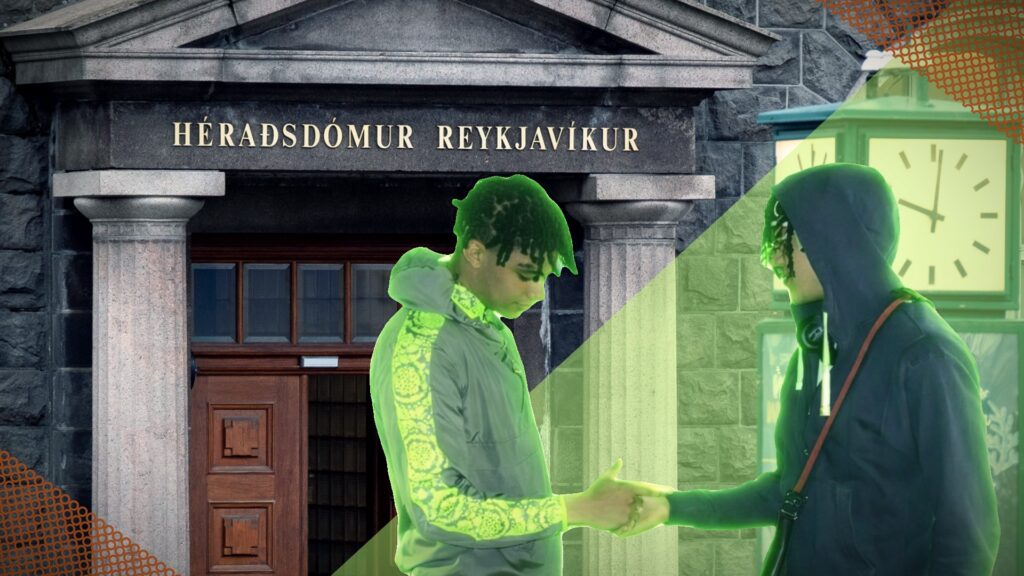 Gabríel og yngri bróðir hans aftur dæmdir til fangelsisvistar – Réðust saman á tvær konur eftir að yngri bróðirinn stal úlpu