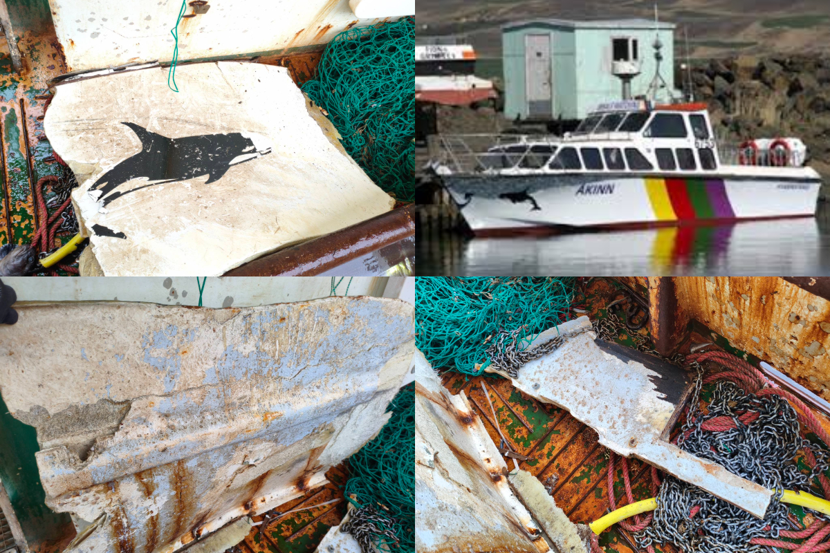 Brak úr Villi Birni líklega komið í ljós – Feðgum bjargað eftir að báturinn hvolfdi