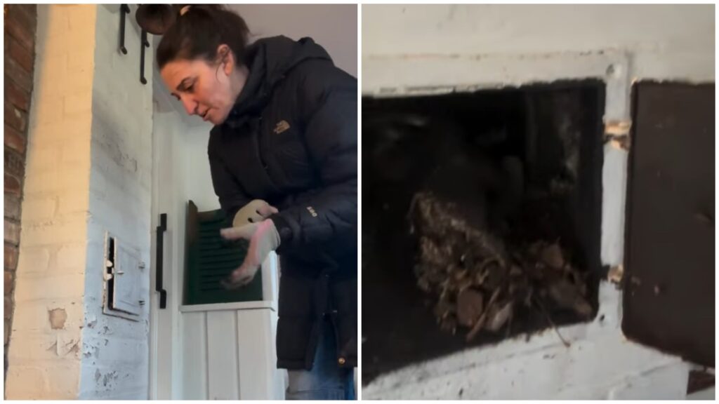 Þekkt tónlistarkona gerði óhugnanlega uppgötvun á heimili sínu – Sjáðu myndbandið