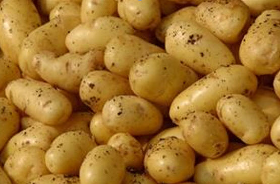 Kartafla vakti mikinn óhug – „Brenndu þetta til dauða“