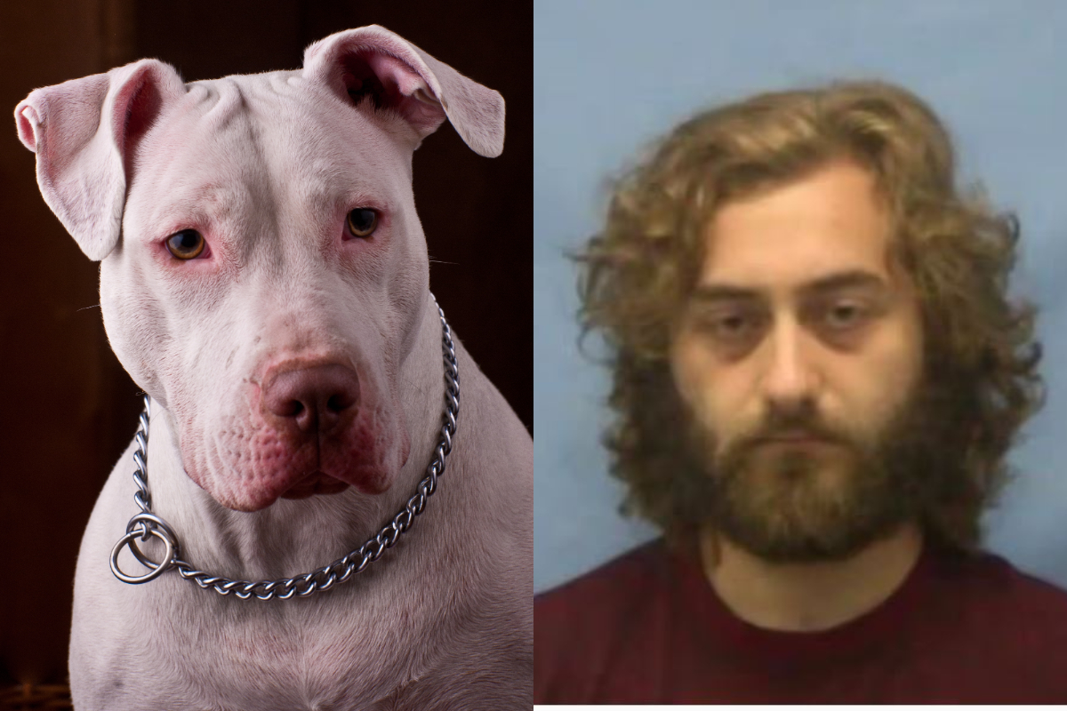 Barnaníðingur misnotaði bolabít – „Þér er ekki viðbjargandi“