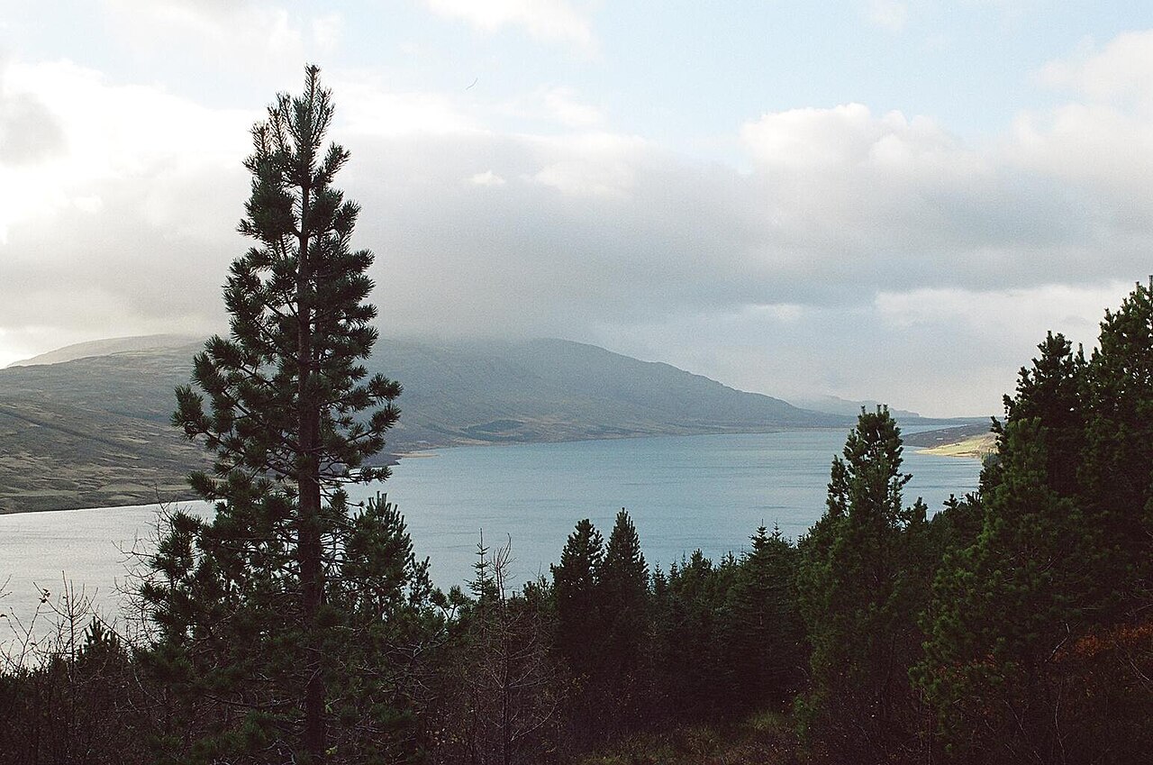 Banaslys í Skorradalsvatni