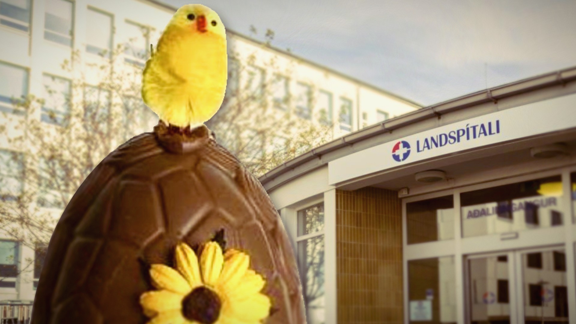 Óttar Guðmundsson skrifar: Stóra páskaeggjadramað